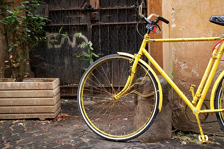 bicyclesarasota photographer.jpeg
